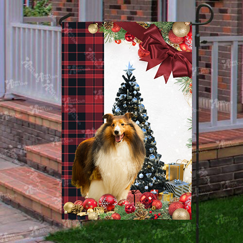 Rough Collie Flag Sitting In Front Of The Christmas Tree