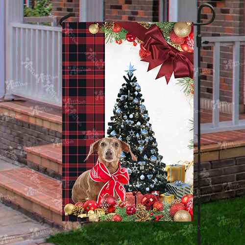 Daschund Flag Sitting In Front Of The Christmas Tree