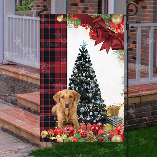 Fox Red Labrador Flag Sitting In Front Of The Christmas Tree