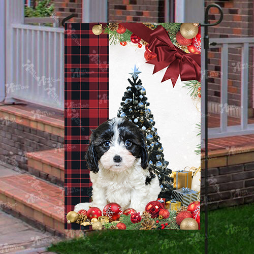 Cavachon Flag Sitting In Front Of The Christmas Tree