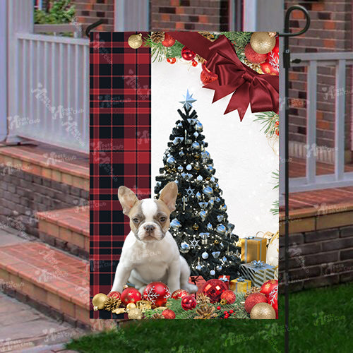 Frenchie Flag Sitting In Front Of The Christmas Tree