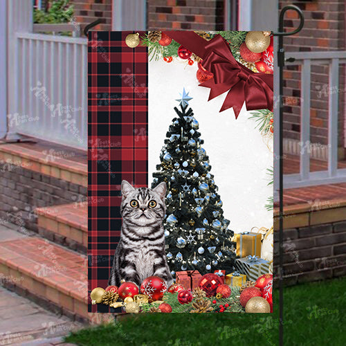 Bristish Shorthair Cat Flag Sitting In Front Of The Christmas Tree