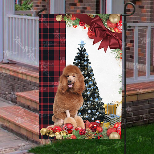 Brown Poodle Flag Sitting In Front Of The Christmas Tree