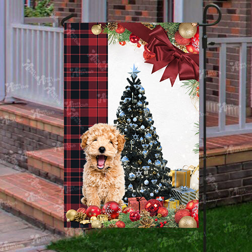 Poodle Flag Sitting In Front Of The Christmas Tree