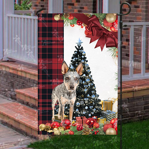 Blue Heeler Flag Sitting In Front Of The Christmas Tree