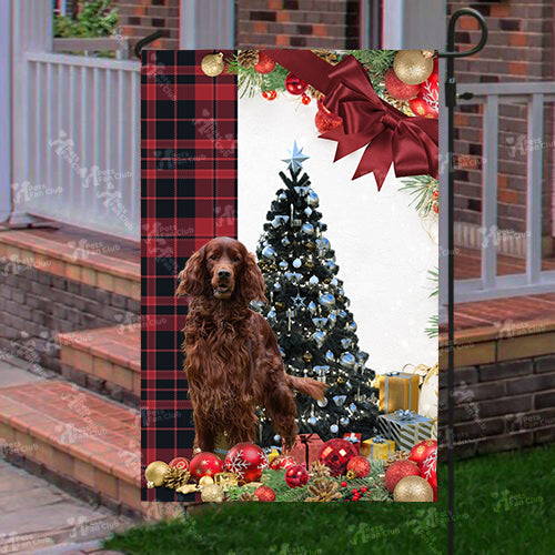 Irish Setter Flag Sitting In Front Of The Christmas Tree