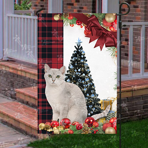 Burmilla Cat Flag Sitting In Front Of The Christmas Tree