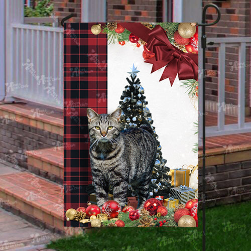 Manx Cat Flag Sitting In Front Of The Christmas Tree