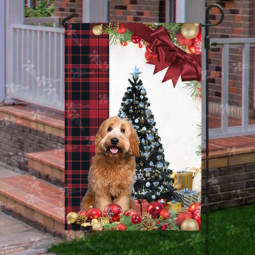 Labradoodle Flag Sitting In Front Of The Christmas Tree