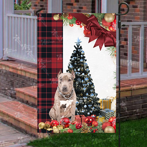 Pit Bull Flag Sitting In Front Of The Christmas Tree