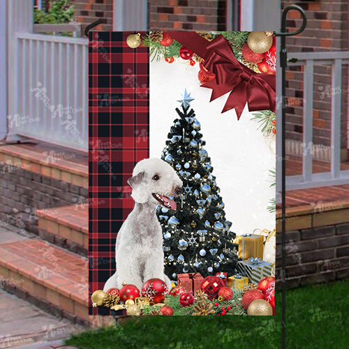 Bedlington Flag Sitting In Front Of The Christmas Tree