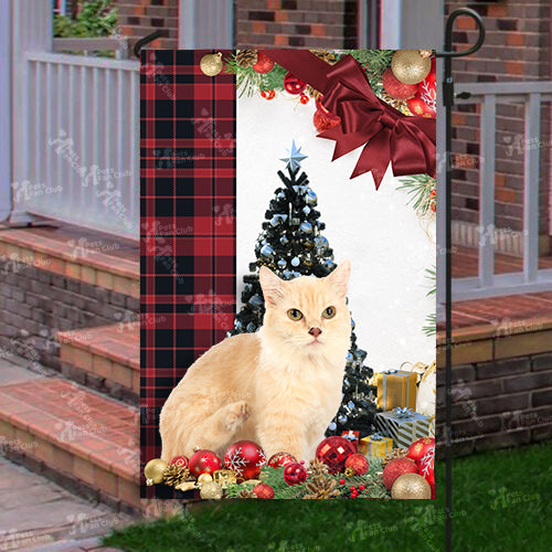 Munchkin Cat Flag Sitting In Front Of The Christmas Tree