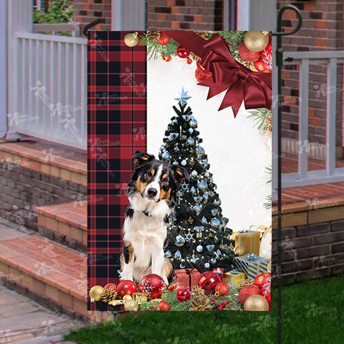 Border Collie Flag Sitting In Front Of The Christmas Tree