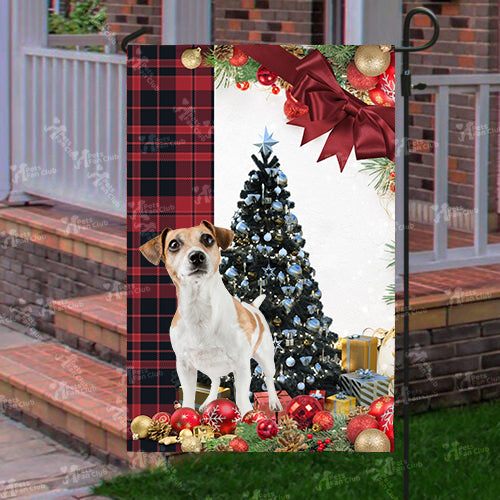 Jack Russel Terrier Flag Sitting In Front Of The Christmas Tree