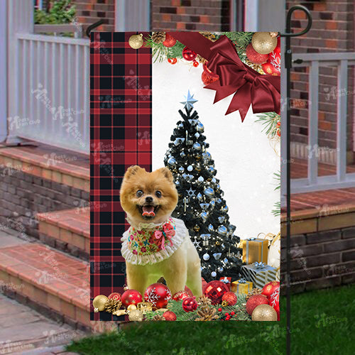 Pomeranian Flag Sitting In Front Of The Christmas Tree