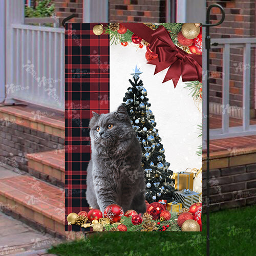 Bristish Longhair Cat Flag Sitting In Front Of The Christmas Tree