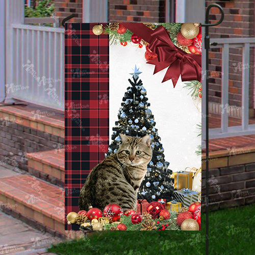 American Bobtail Cat Flag Sitting In Front Of The Christmas Tree