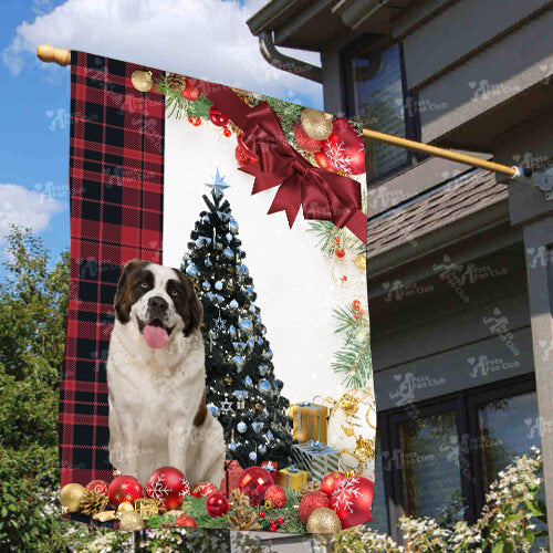 Saint Bernard Flag Sitting In Front Of The Christmas Tree