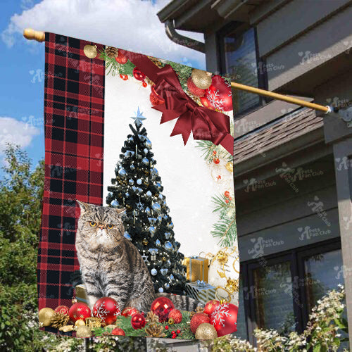 Exotic Shorthair Cat Flag Sitting In Front Of The Christmas Tree