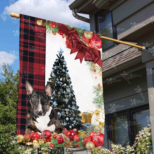 English Bull Terrier Flag Sitting In Front Of The Christmas Tree