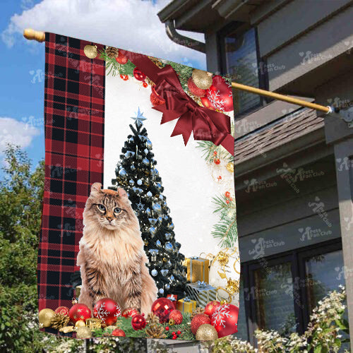 American Curl Cat Flag Sitting In Front Of The Christmas Tree