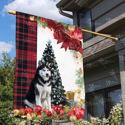 Husky Flag Sitting In Front Of The Christmas Tree