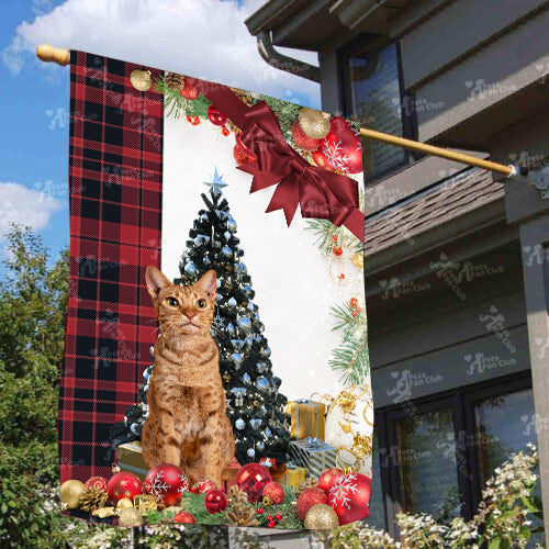 Ocicat Cat Flag Sitting In Front Of The Christmas Tree