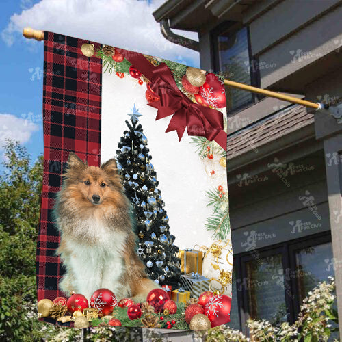 Sheltie Flag Sitting In Front Of The Christmas Tree