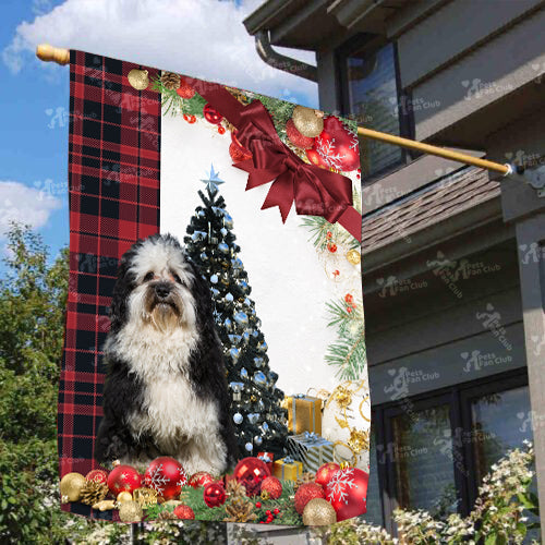 Havaneser Flag Sitting In Front Of The Christmas Tree