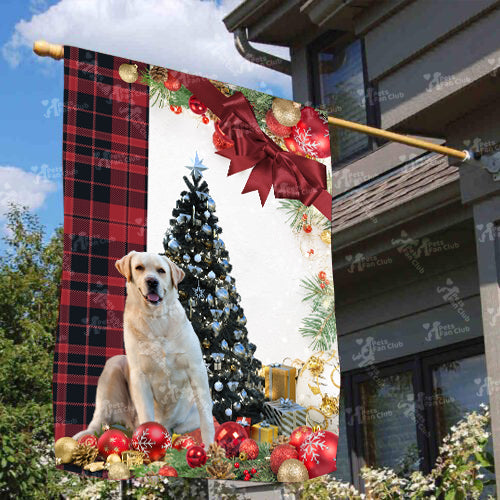 Golden Labrador Flag Sitting In Front Of The Christmas Tree