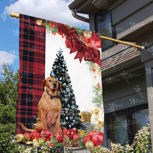 Red Labrador Flag Sitting In Front Of The Christmas Tree