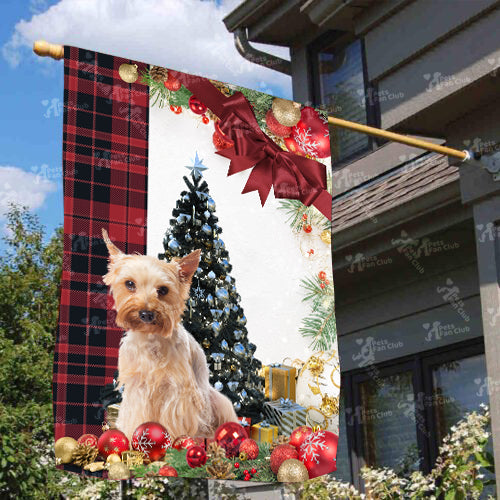 Yorkshire Terrier Flag Sitting In Front Of The Christmas Tree