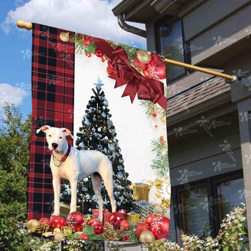 Dogo Argentinoes Flag Sitting In Front Of The Christmas Tree