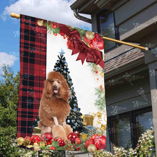 Brown Poodle Flag Sitting In Front Of The Christmas Tree