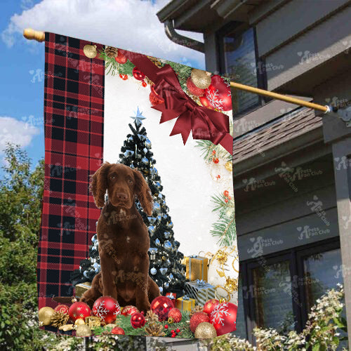 Working Cocker Spaniel Flag Sitting In Front Of The Christmas Tree