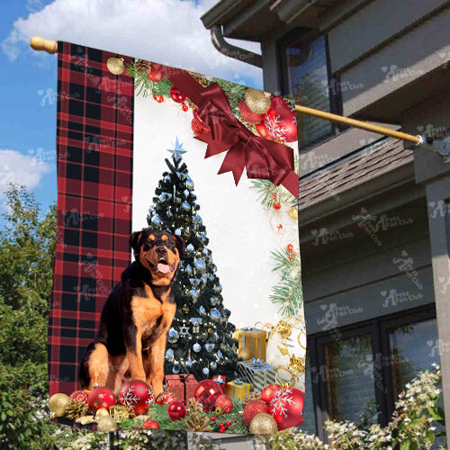 Rottweiler Flag Sitting In Front Of The Christmas Tree