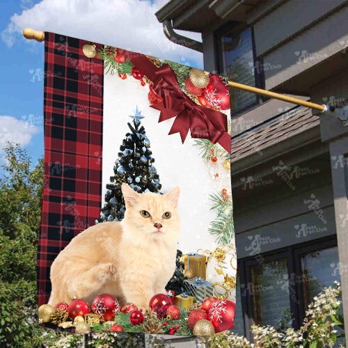 Munchkin Cat Flag Sitting In Front Of The Christmas Tree