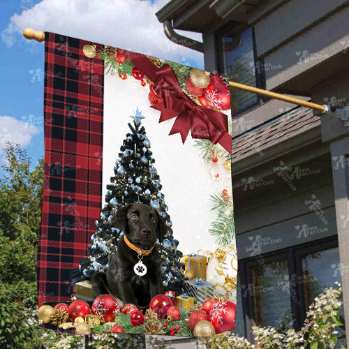 Labrador Retriever Flag Sitting In Front Of The Christmas Tree