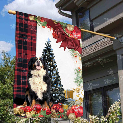 Bernese Mountain Flag Sitting In Front Of The Christmas Tree