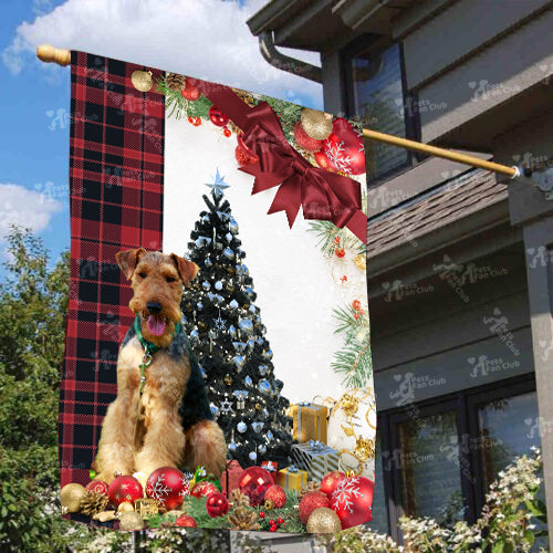 Welsh Terrier Flag Sitting In Front Of The Christmas Tree