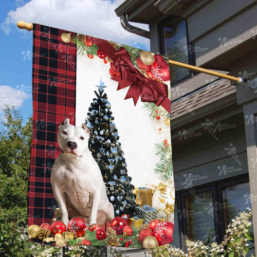 American Bully Flag Sitting In Front Of The Christmas Tree