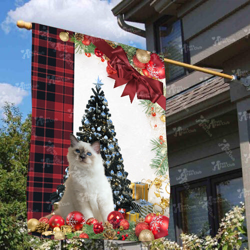 Birman Cat Flag Sitting In Front Of The Christmas Tree