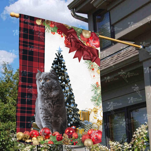 Bristish Longhair Cat Flag Sitting In Front Of The Christmas Tree