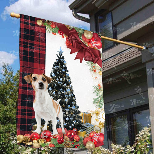 Jack Russel Terrier Flag Sitting In Front Of The Christmas Tree