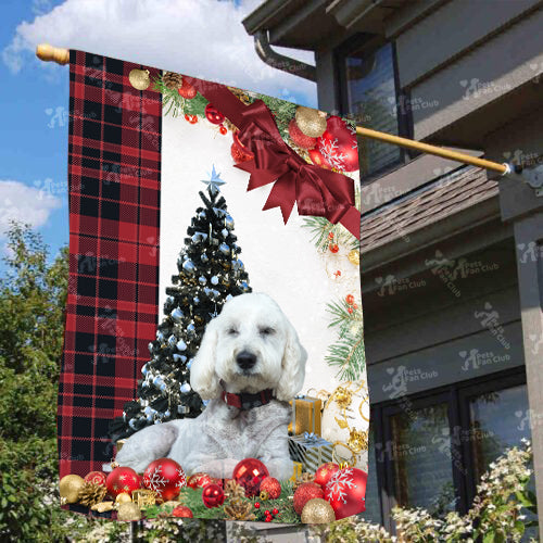 Groodle Flag Sitting In Front Of The Christmas Tree