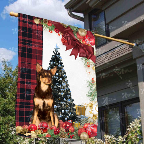 Australian Kelpie Flag Sitting In Front Of The Christmas Tree