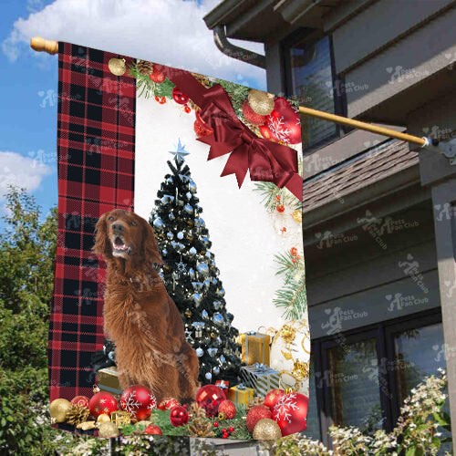 Red Setter Flag Sitting In Front Of The Christmas Tree