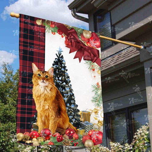 Somali Cat Flag Sitting In Front Of The Christmas Tree