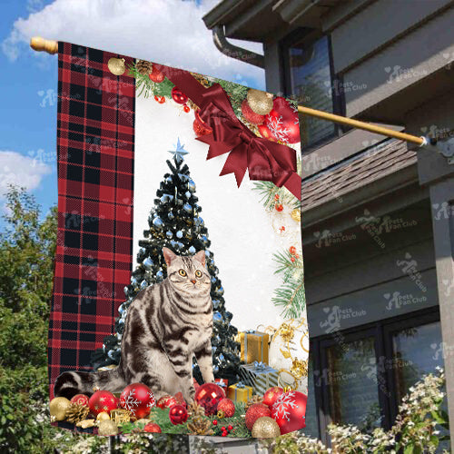 American Wirehair Cat Flag Sitting In Front Of The Christmas Tree