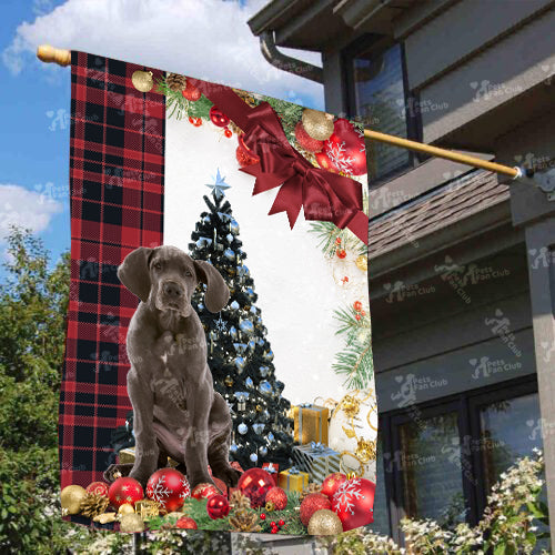 Great Dane Flag Sitting In Front Of The Christmas Tree